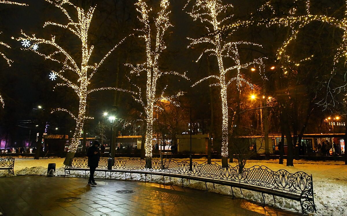 Декоративная подсветка деревьев на площади Минина. Фото предоставлено управлением по связям со СМИ администрации Нижнего Новгорода.