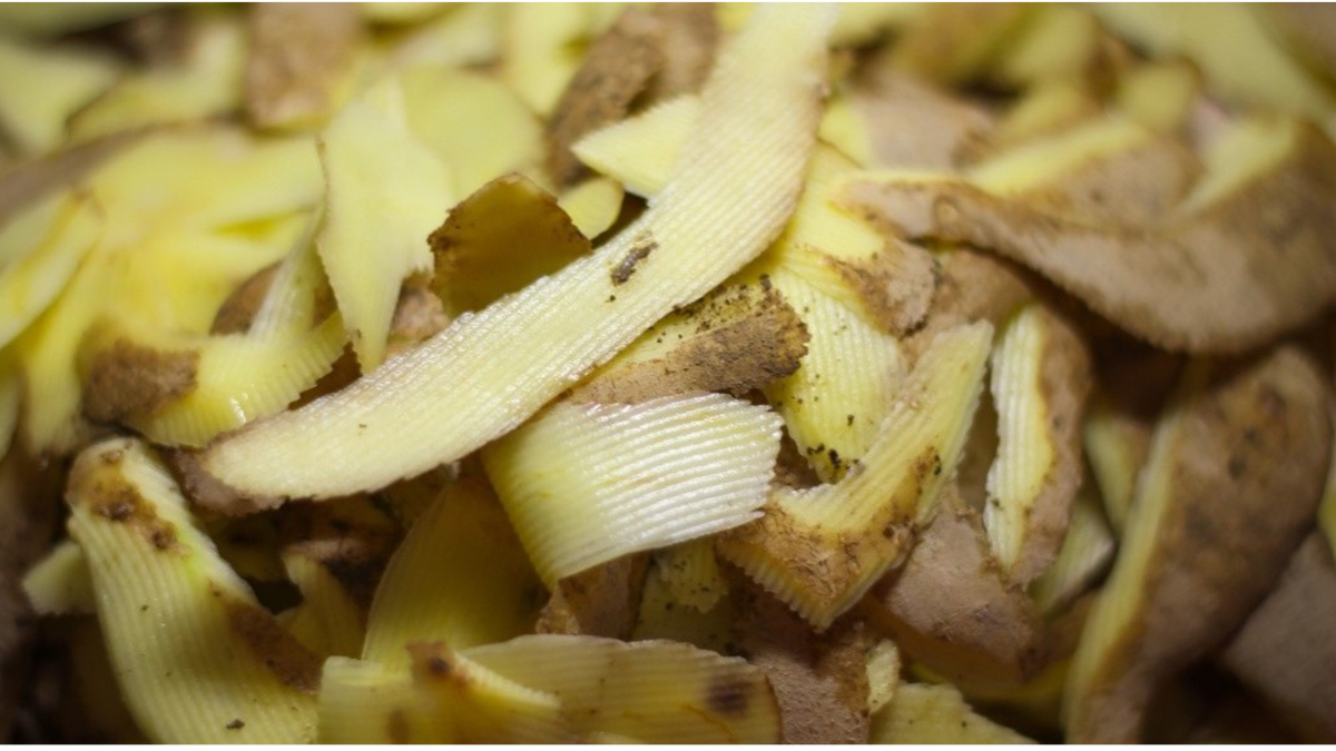 Картофельные очистки