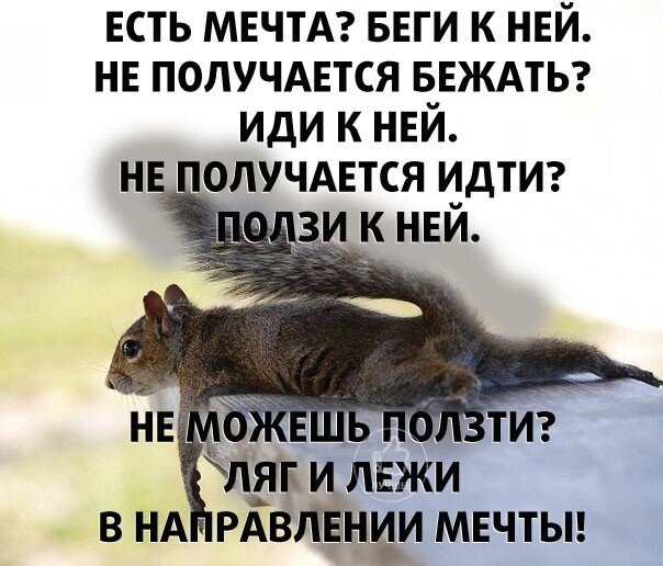 Фото взято из источника Яндекс.Картинки