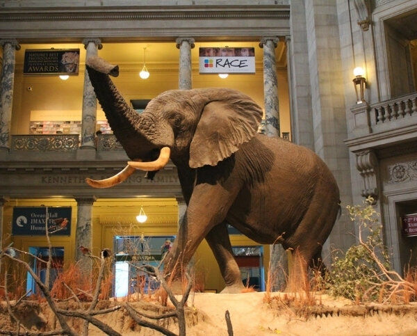 Мальдивы - Национальный музей