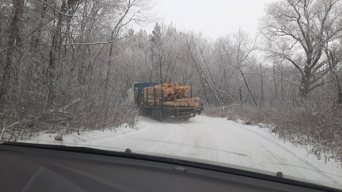 Сборка сруба 6x8м в Чашу | 