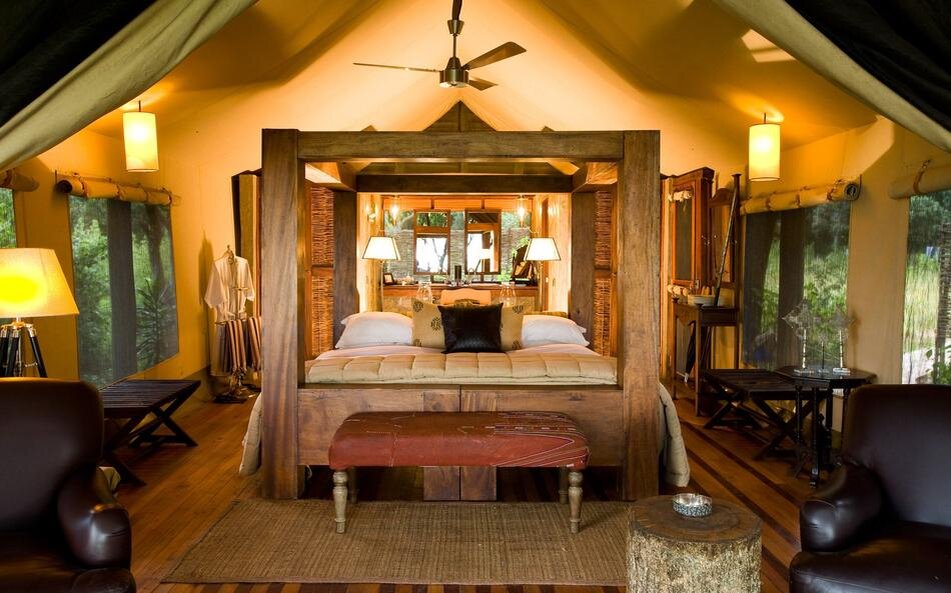 Отель с жирафами: где это, как туда попасть, сколько стоит | Африка | Дзен