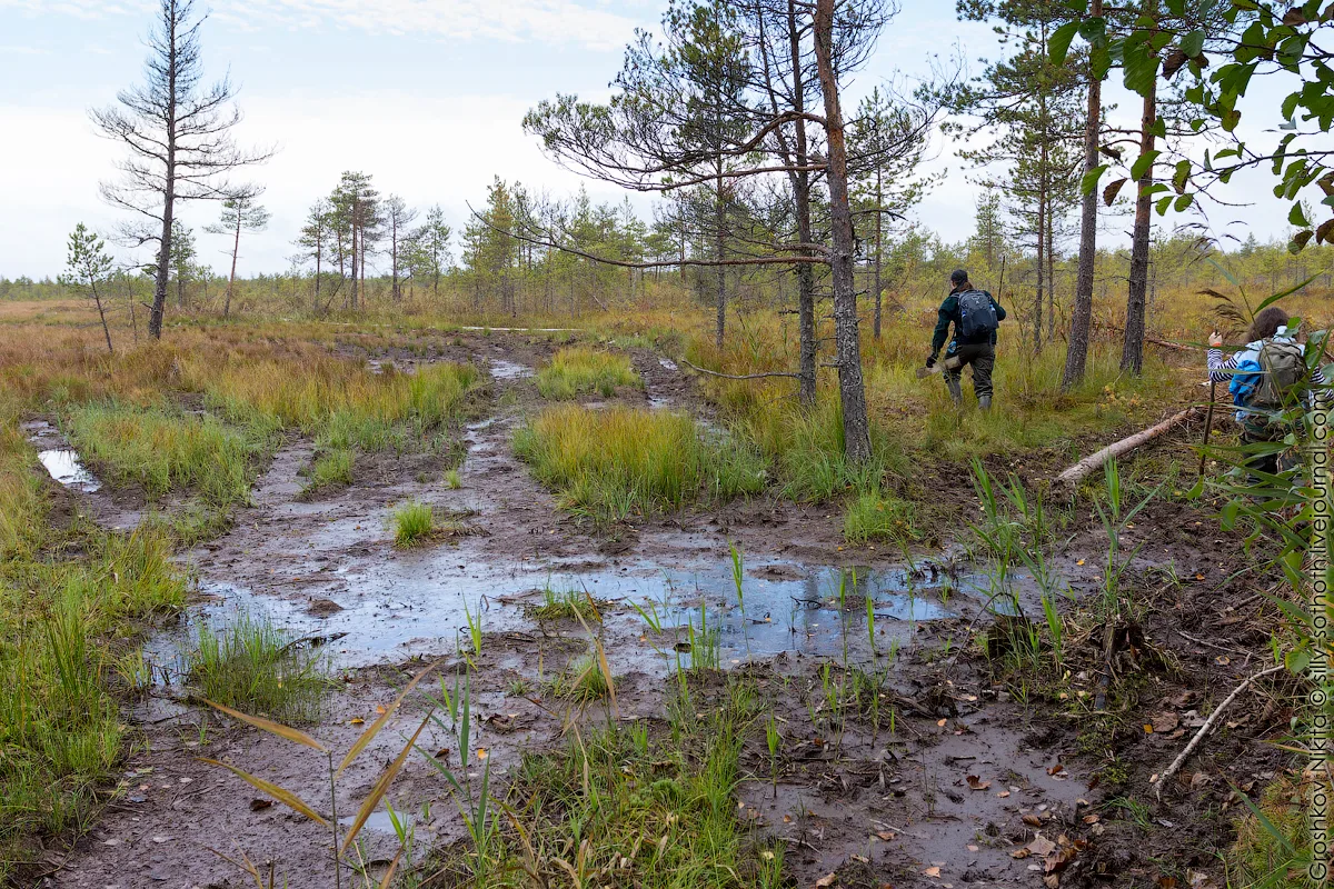 Вот примерно так пара людей, по примерно такой же дороге двигалась к границе.