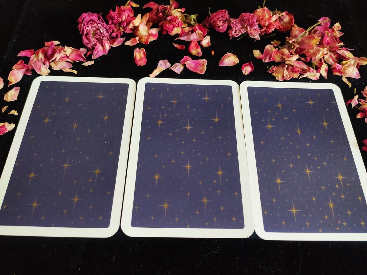 Если тянет сразу на два варианта, читайте оба. Но все же постарайтесь выбрать основной.