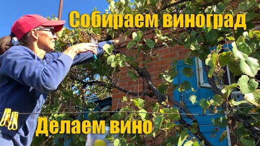 #33 Жизнь в деревне! Собираем виноград и учимся делать домашнее вино.