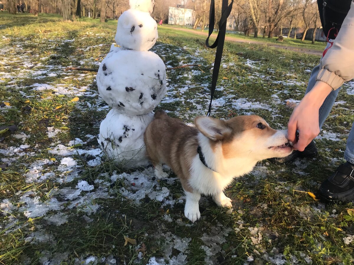 Избегайте ситуаций, способствующих подбору предметов на улице