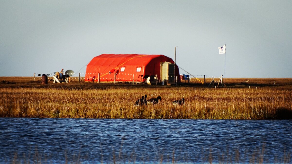 Бюджетное жилье