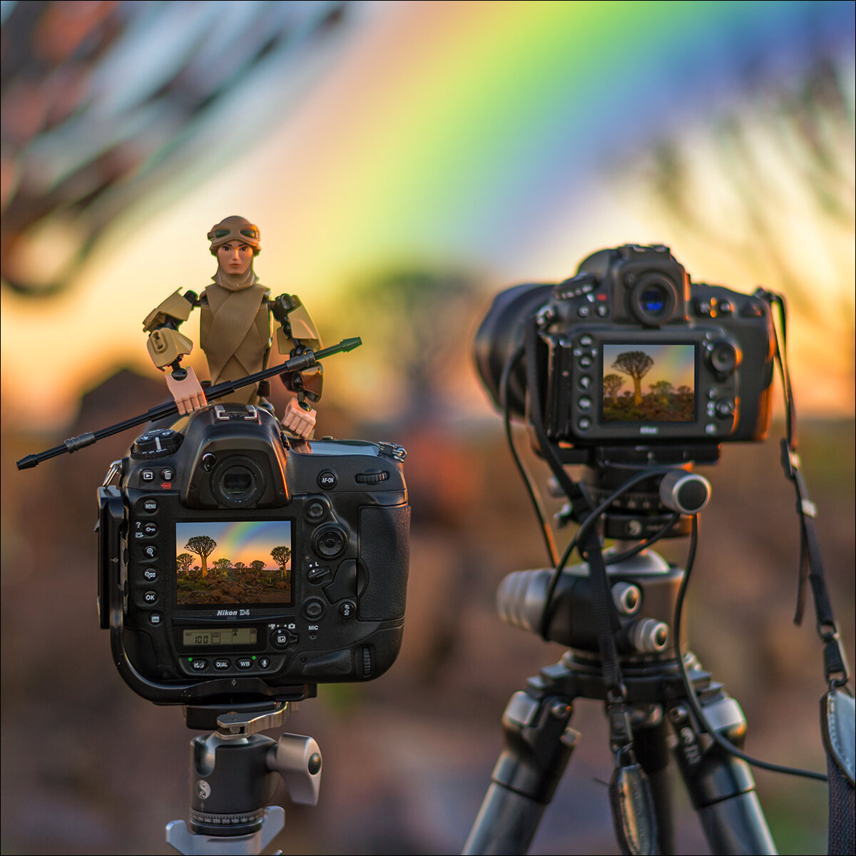 Февраль, 2016. Намибия, Южная Африка