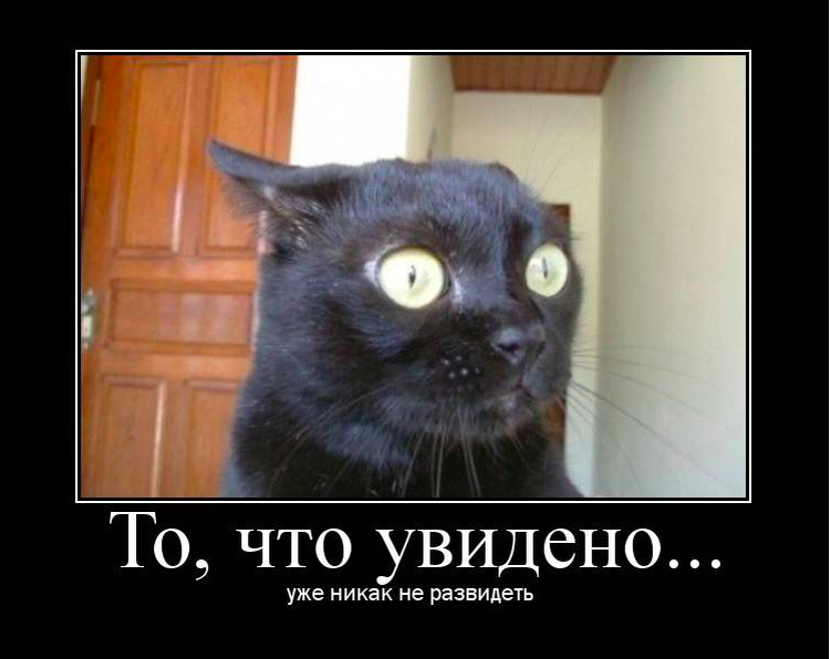 мемчик из интернета, описывающий мои эмоции