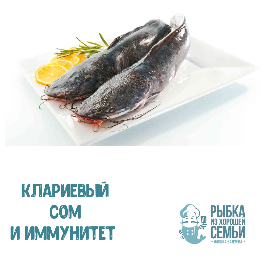 Клариас и иммунитет 