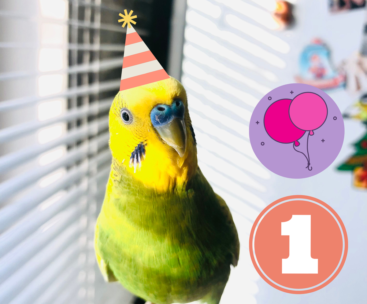 Лимонно-лаймовый Тэри.  