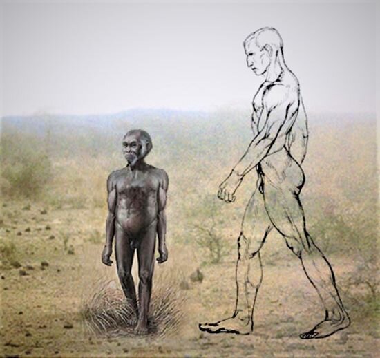 Реконструкция хоббитов