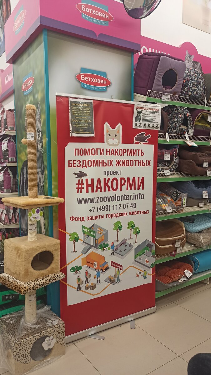 Наш ролап проекта НАКОРМИ