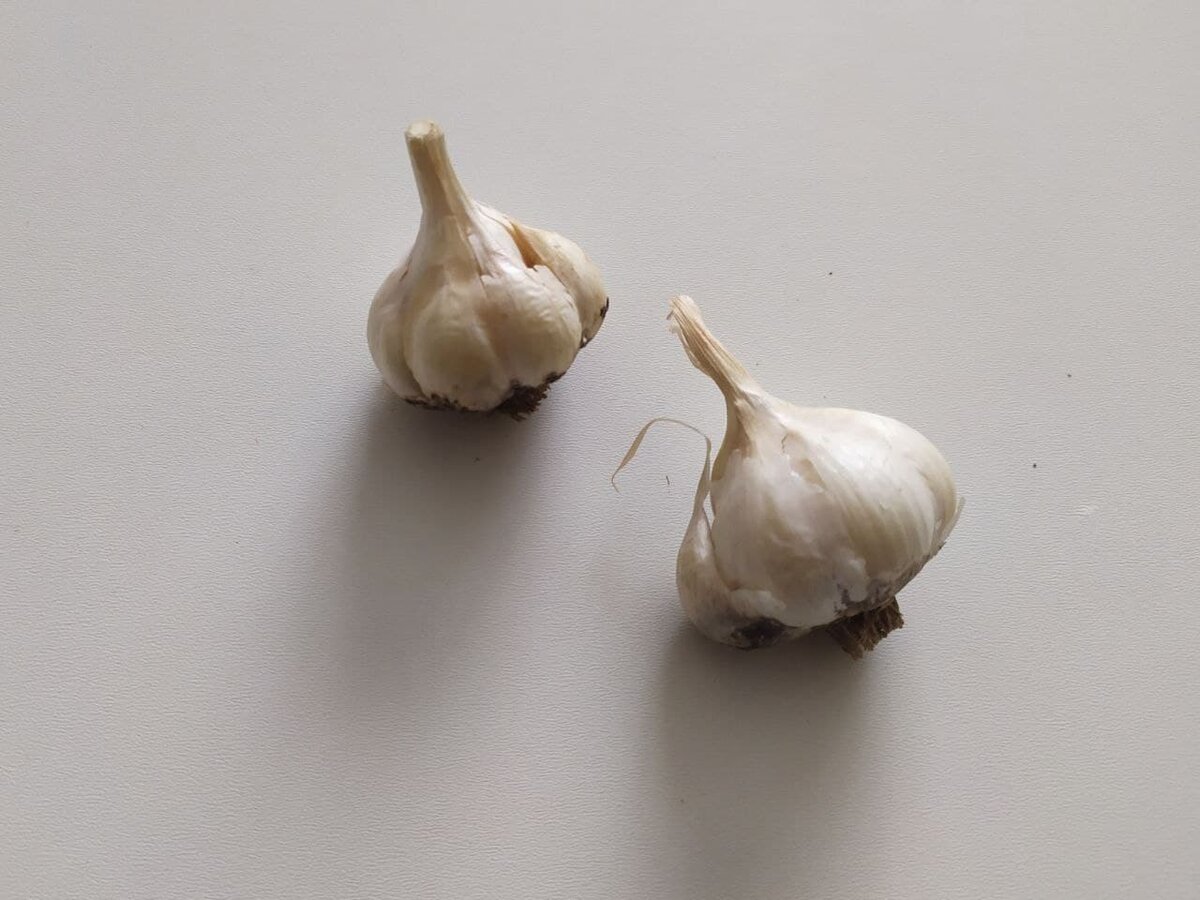 Чеснок, если употреблять его вместе с кефиром, не спровоцирует появление неприятного запаха изо рта