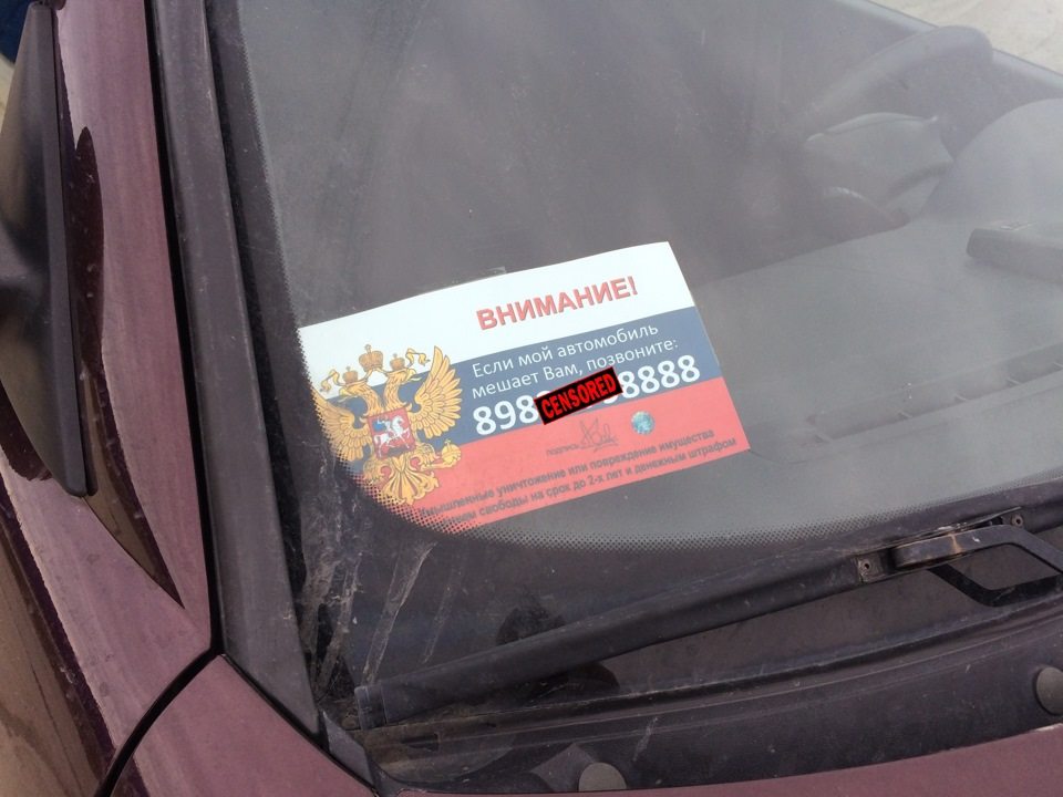 Фото из свободного доступа