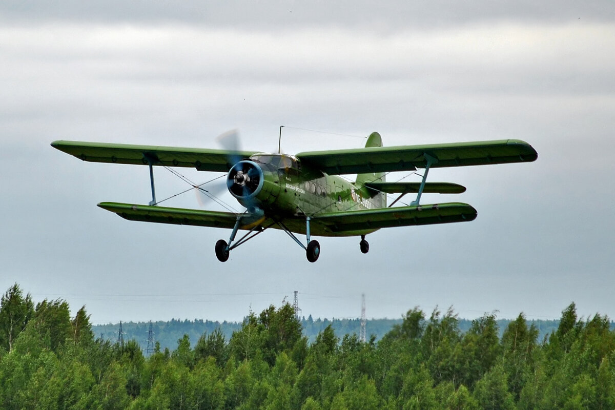 АН 2 кукурузник над полем