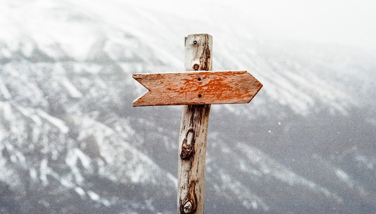 Где же тот указатель нашего истинного пути? Источник фото - https://clck.ru/TnXvU