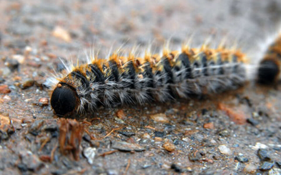 Фото: kathimerini