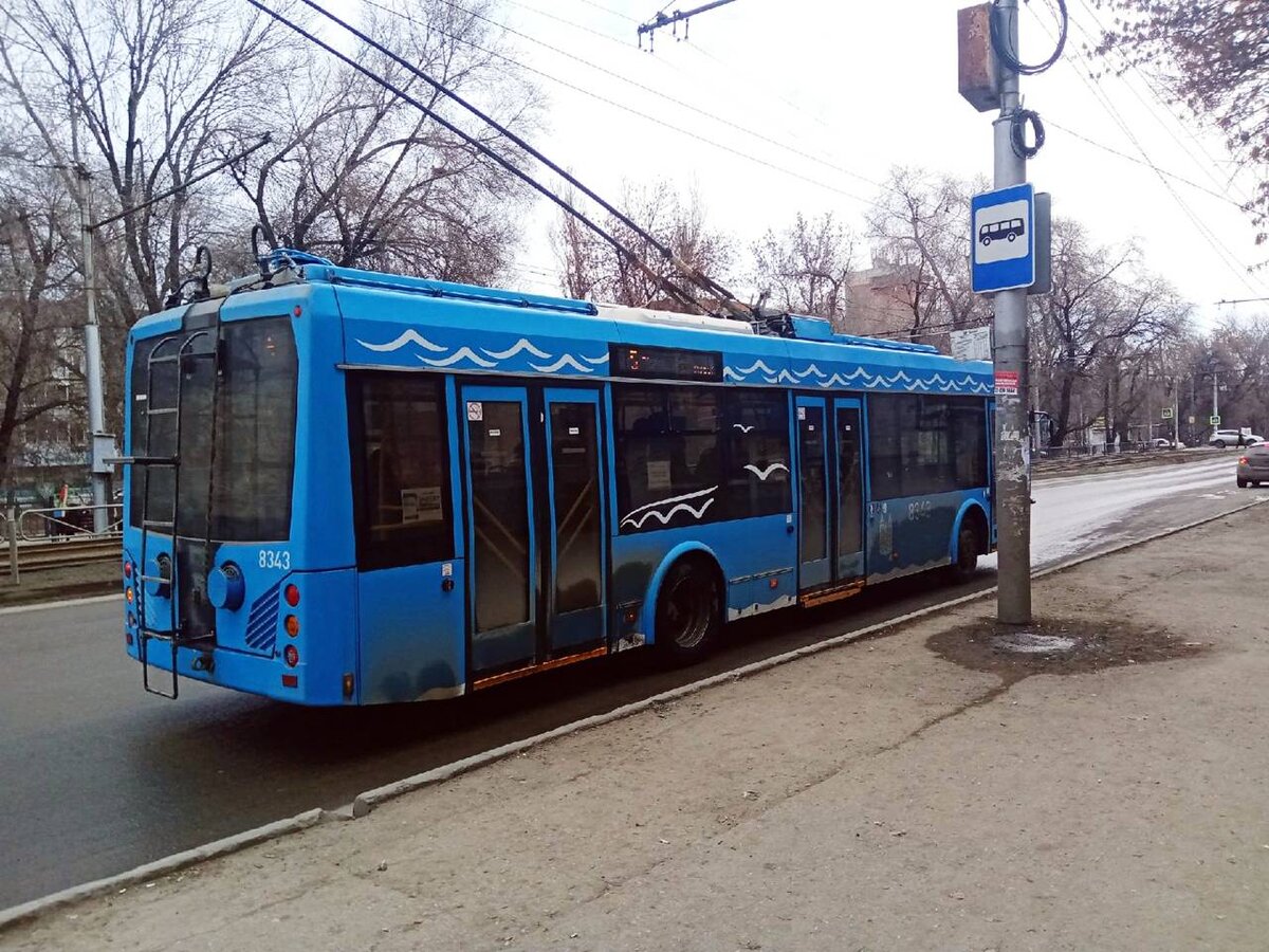 Фото автора.