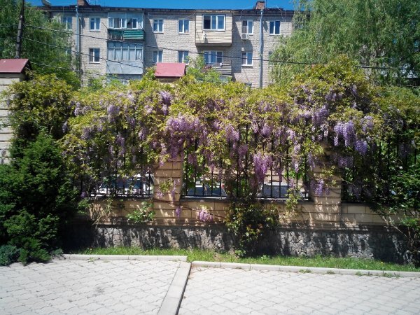 Снимок зделан мною на работе 