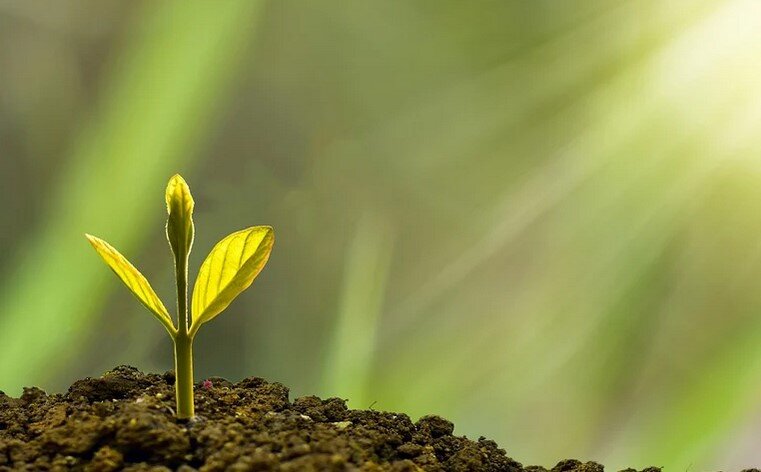 Первые шаги к СВОБОДЕ Школа "Один шаг до Миллиона"