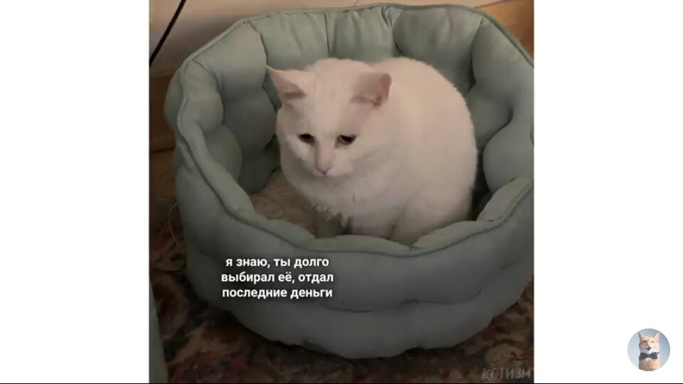 и грустно и смешно