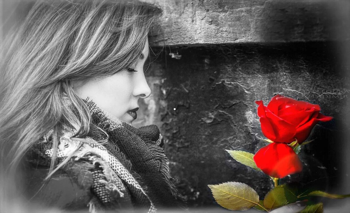 Фото взято из Яндекс картинки