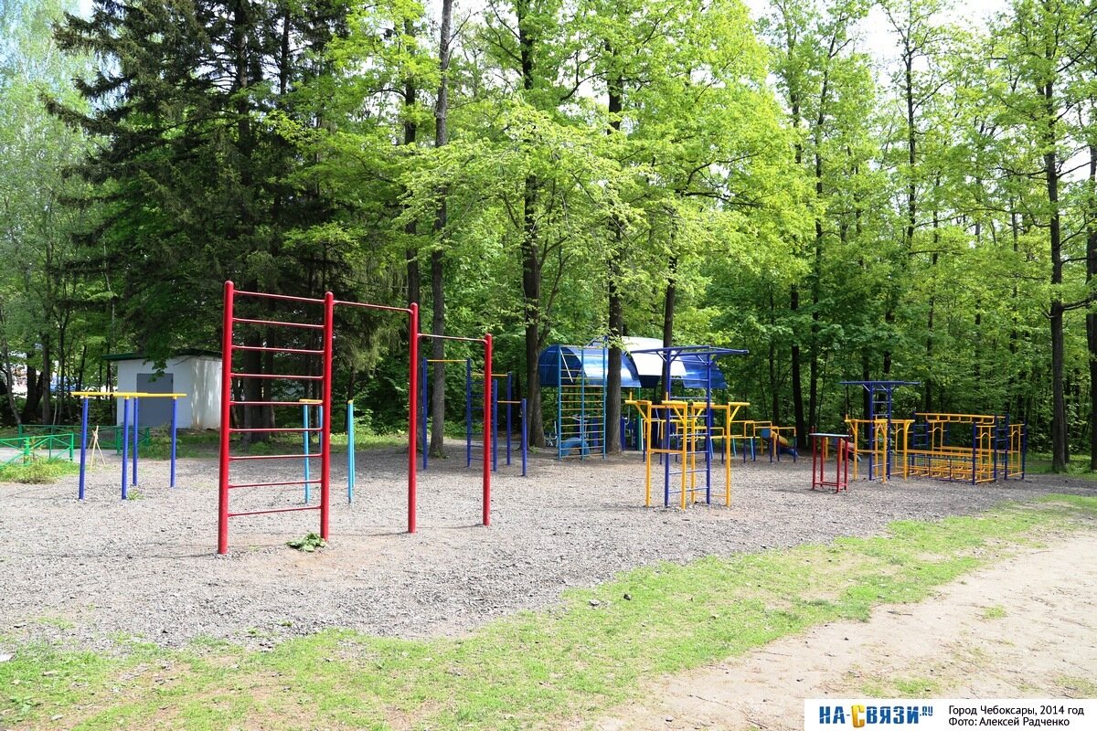 Спортивная площадка на опушке Берендеевского леса.