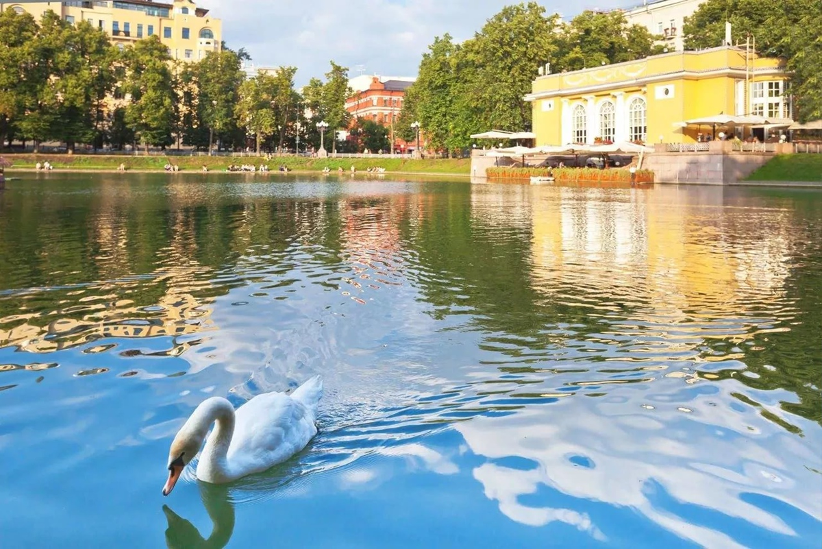 Пруды на патриарших в москве