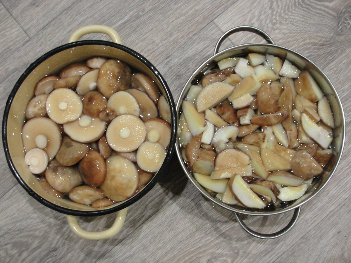 Майские маслята 2020