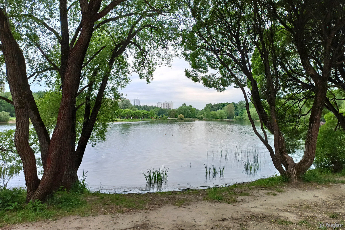 Особняк зегера покровское-стрешнево. Твид парк покровское стрешнево. Парк покровское-стрешнево храм. Пляж покровское стрешнево. Угловая башня усадьбы покровское-стрешнево волоколамское шоссе.