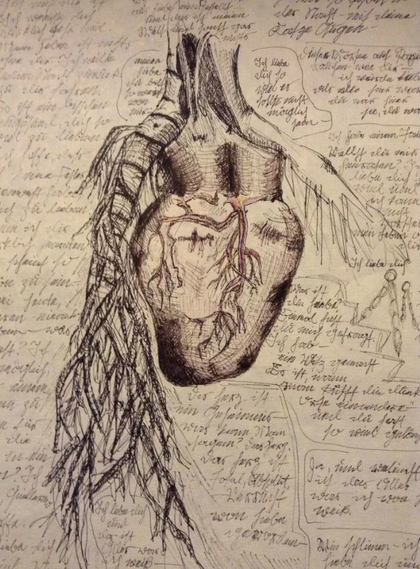 Наброски и работы Леонардо да Винчи