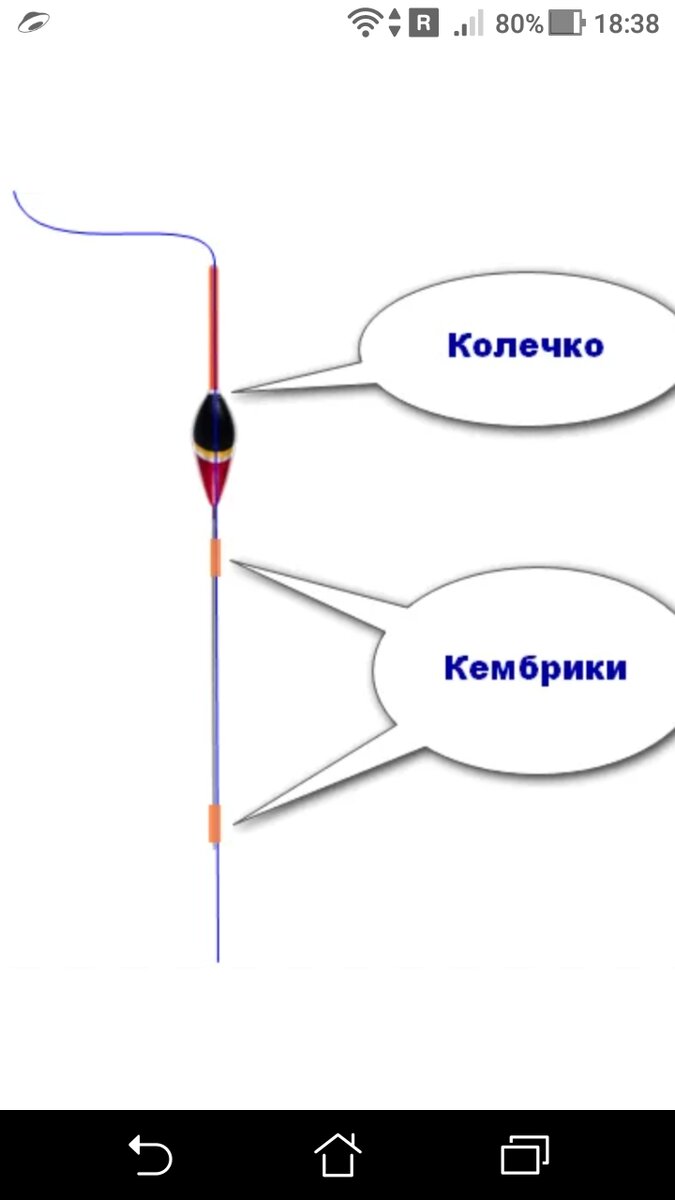 Как выбрать поплавочную удочку?