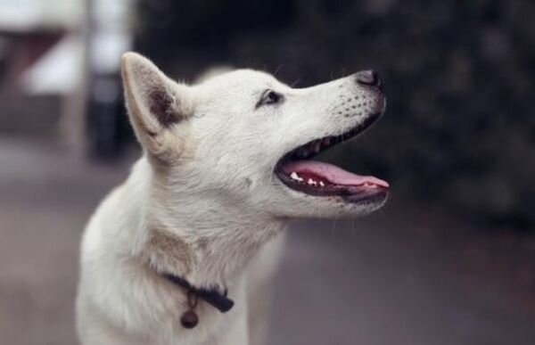 Источник фото: pixabay.com