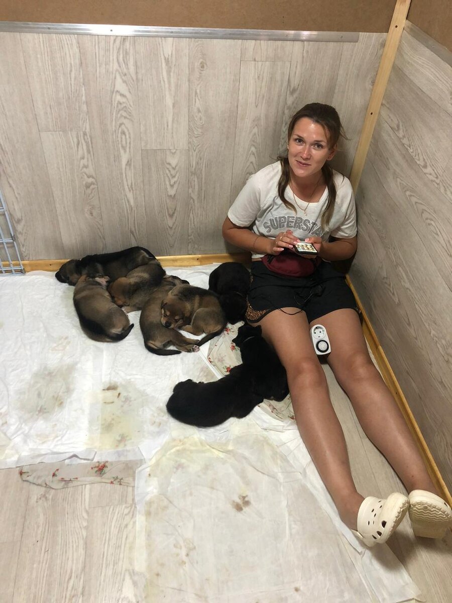  Иногда приходиться быть не только передержкой, но и нянькой для щенков. Своей матери в тот день они порядком надоели)