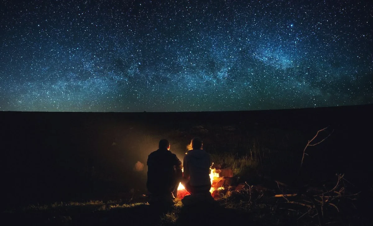 Фото из открытых источников Яндекс 