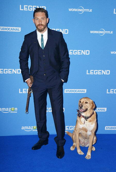 Том даже на фестивали или премьеры фильмов часто приходит с собаками