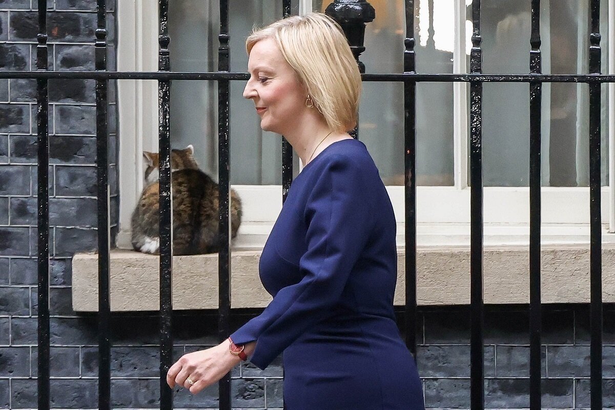 Фото из открытых источников сети Интернет