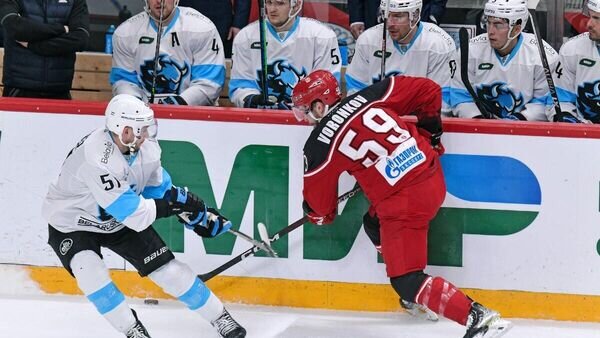   © "ВКонтакте" / ХК "Динамо-Минск"