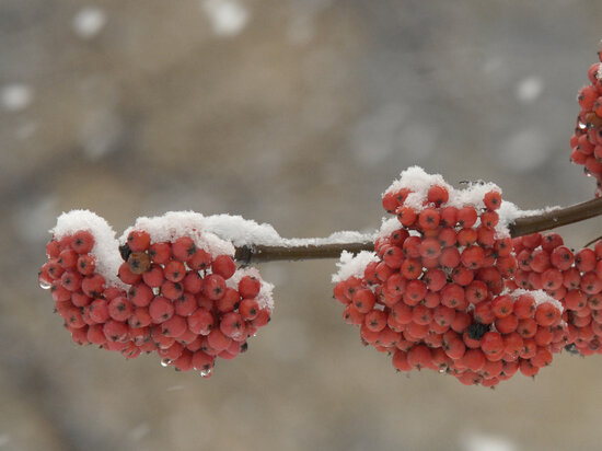   Александр Астафьев