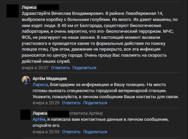    На обращение жительницы Белгорода к Гладкову в социальной сети «ВКонтакте» ей ответил главный ветеринар региона Медведев