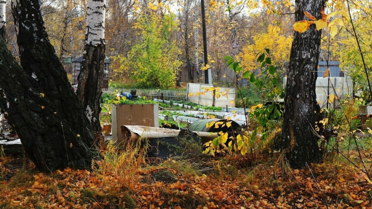     Министерство имущества РК выставило на торги бывшую правительственную дачу, сообщают республиканские СМИ.