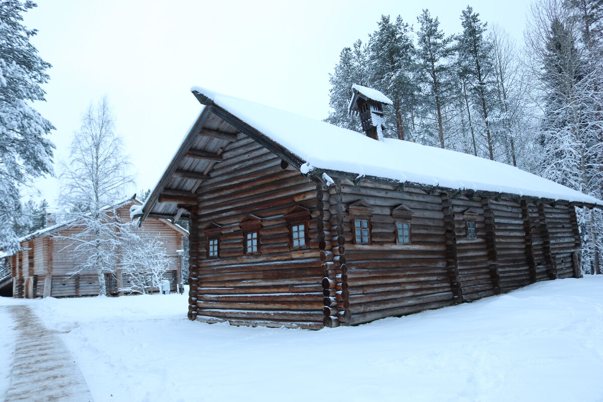 фото автора Елены М.