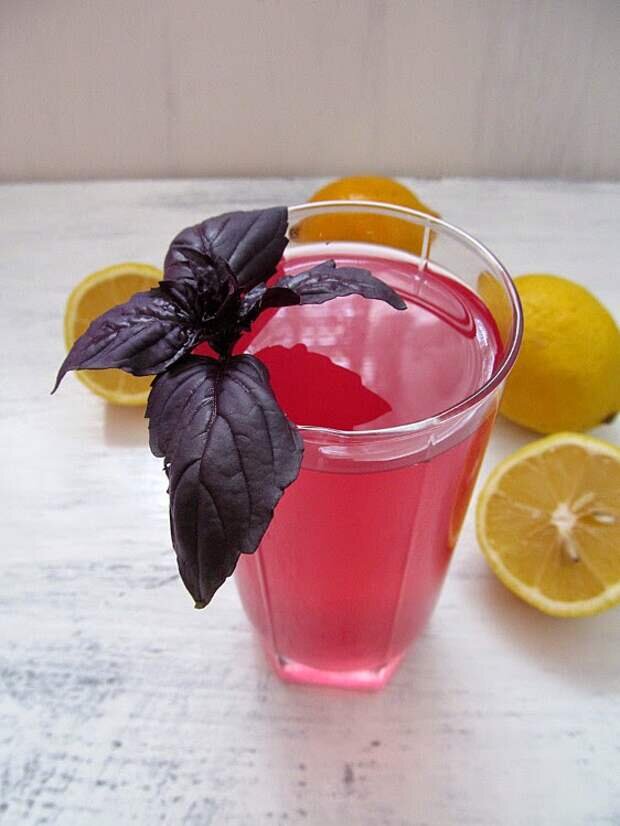 Базилик компот. Базилик морс. Лимонад из базилика. Компот с базиликом на зиму. Рейхан напиток из базилика.