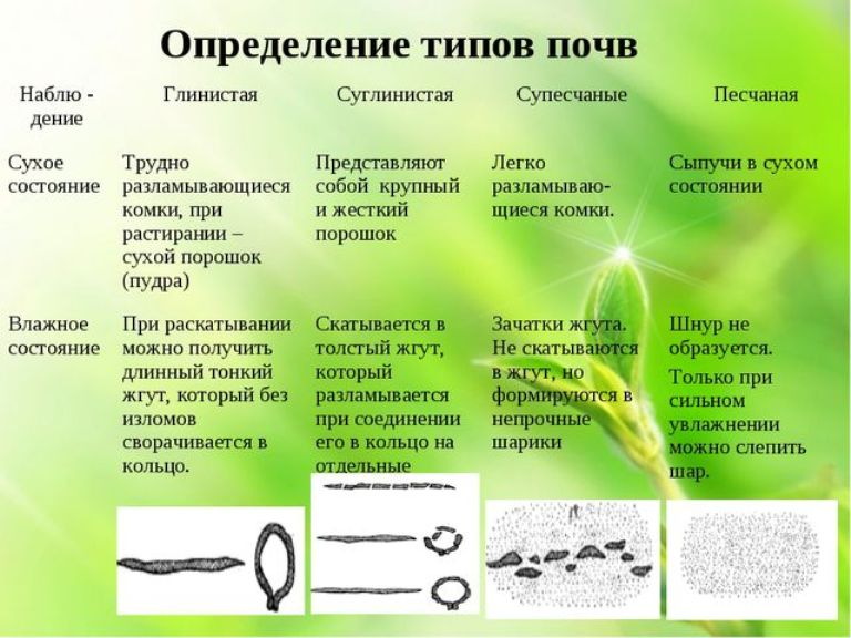 Как понять какая почва