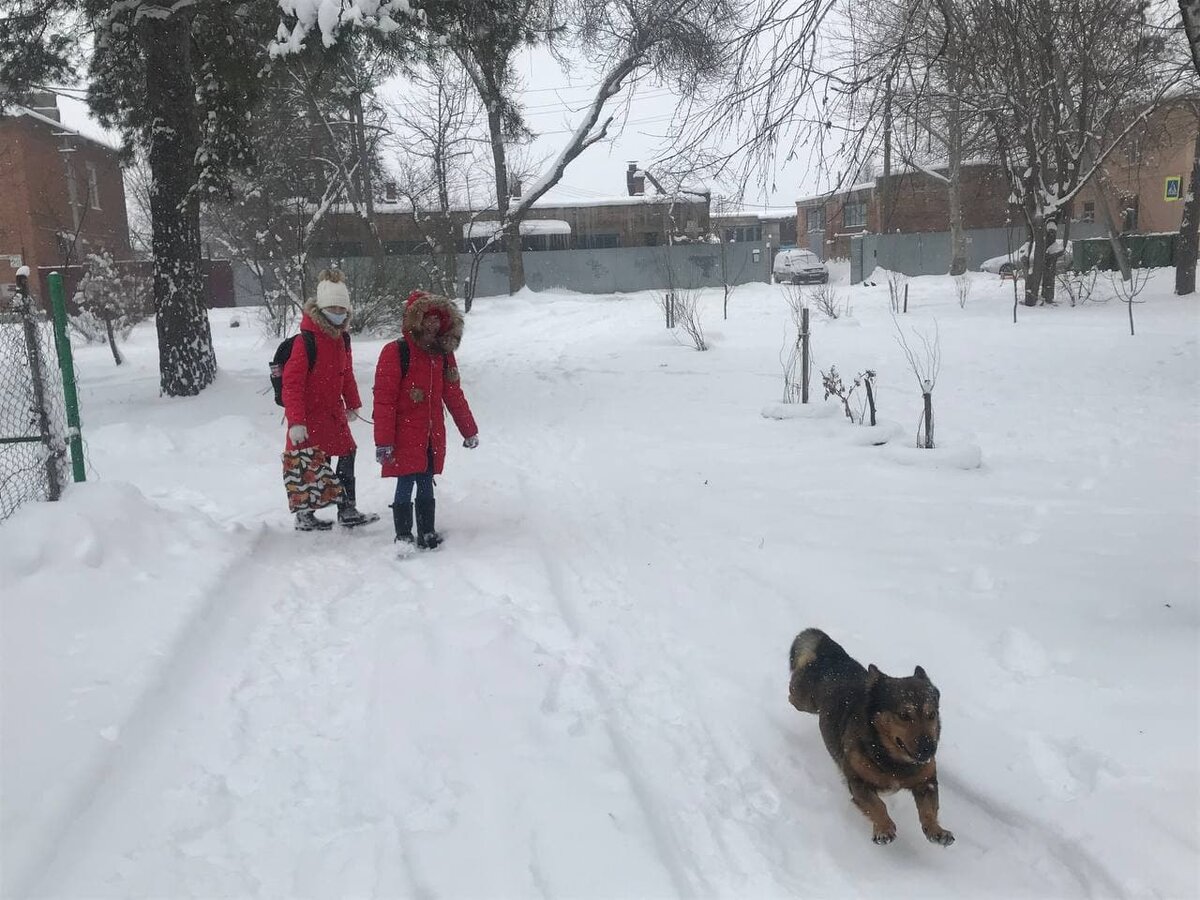 Снегопад в Краснодаре 23 января 2022