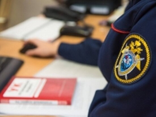     Хабаровчанку осудят за покушение на взятку больше 11 миллионов. ФОТО: СУ СКР по Хабаровскому краю и ЕАО