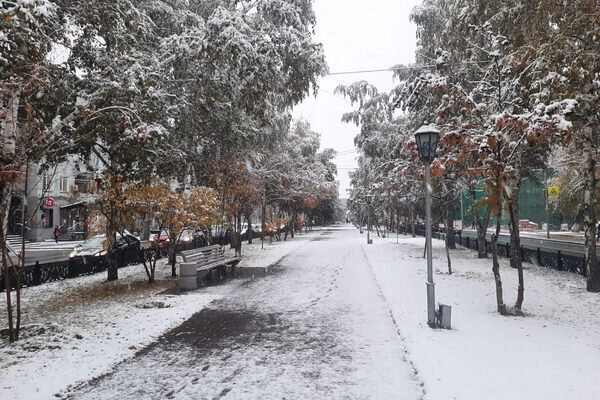 Публикуем прогноз погоды на 31 декабря в Новосибирске. В столице Сибири в главный новогодний день, 31 декабря, ожидается потепление до -12 градусов и снегопад.