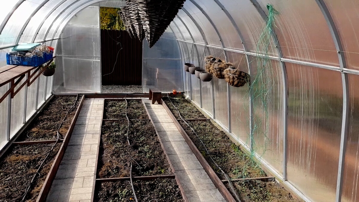 высокие грядки в теплице