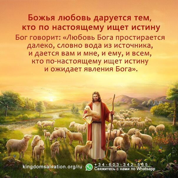 Из открытых источников Яндекса.